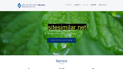blueleaf-partners.co.jp alternative sites