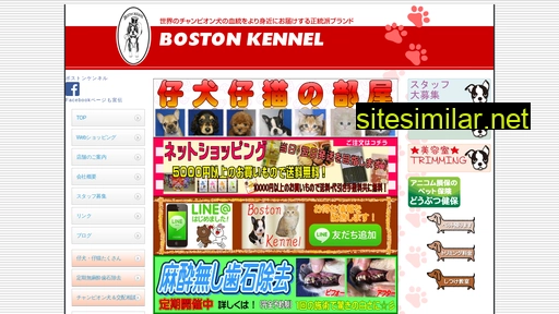 bostonkennel.co.jp alternative sites