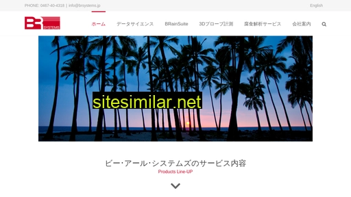 brsystems.jp alternative sites