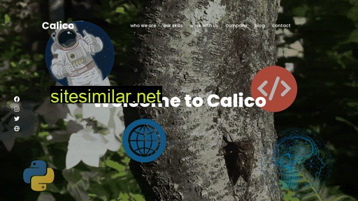 Calico similar sites