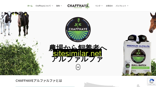 chaffhaye.jp alternative sites