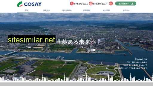 cosay.co.jp alternative sites