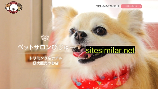 dog-bijou.co.jp alternative sites