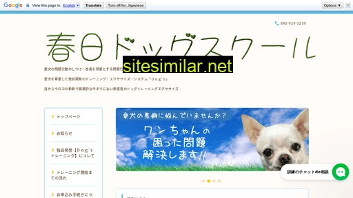dogs-japan.co.jp alternative sites