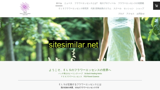 els-fes.jp alternative sites
