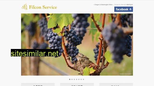 Filcon-service similar sites
