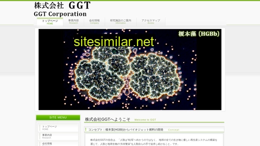ggt.co.jp alternative sites