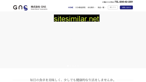 global-n-s.co.jp alternative sites
