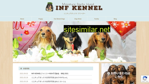 infkennel.jp alternative sites