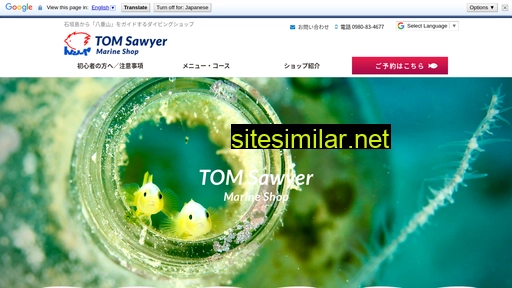 ishigaki-tomsawyer.jp alternative sites
