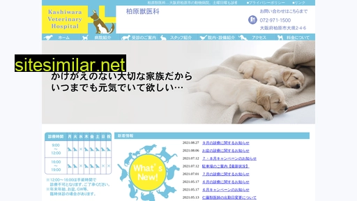 kashiwaravh.jp alternative sites