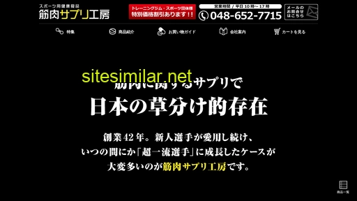 kinsapu.jp alternative sites