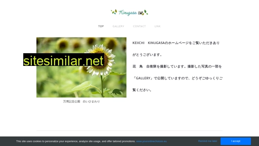 kinugasa.jp alternative sites