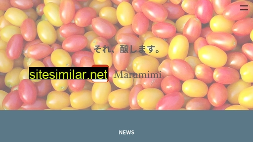 marumimi.co.jp alternative sites