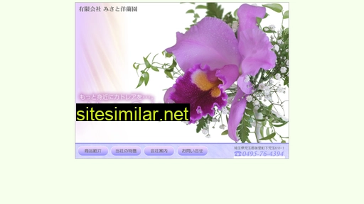 misato-orchids.co.jp alternative sites