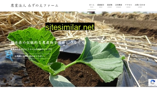 mizunoe-farm.co.jp alternative sites