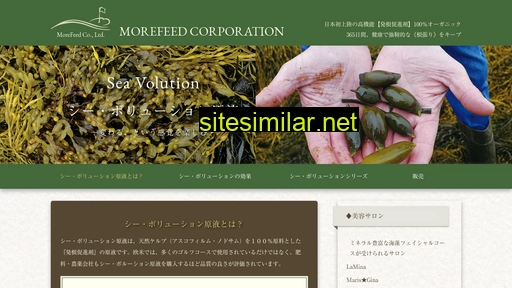 morefeed.co.jp alternative sites