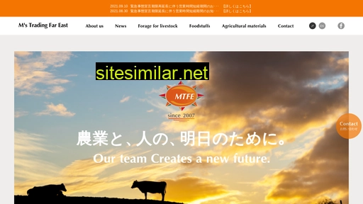 mtfe.co.jp alternative sites