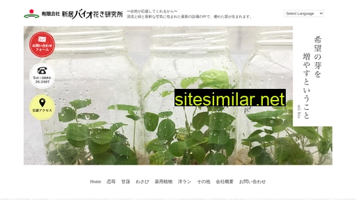 nii-bio.jp alternative sites