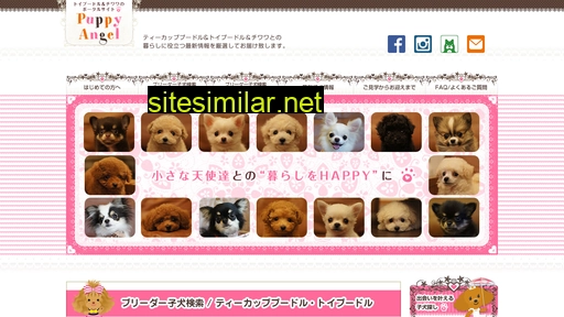 puppyangel.jp alternative sites