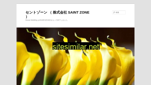 saintzone.co.jp alternative sites