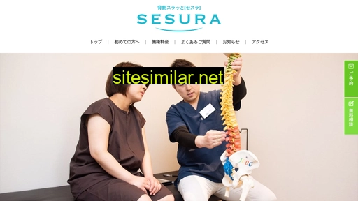 sesura.jp alternative sites