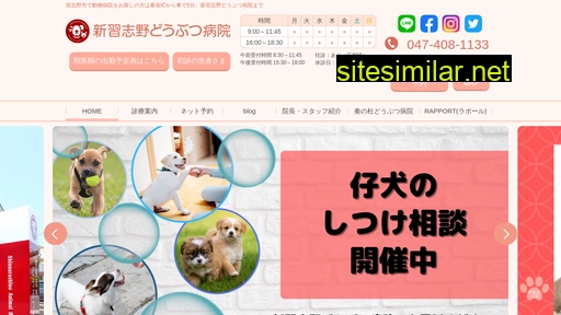 shinnarashino-ah.jp alternative sites