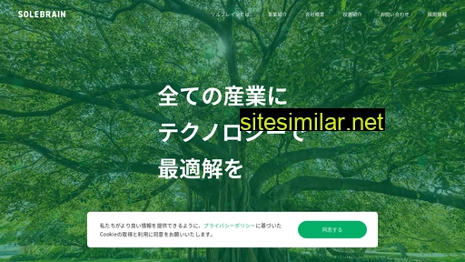 solebrain.co.jp alternative sites