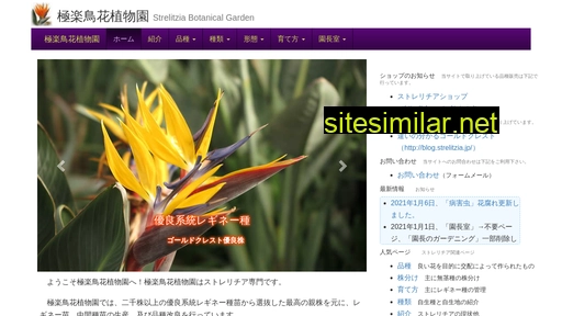strelitzia.jp alternative sites