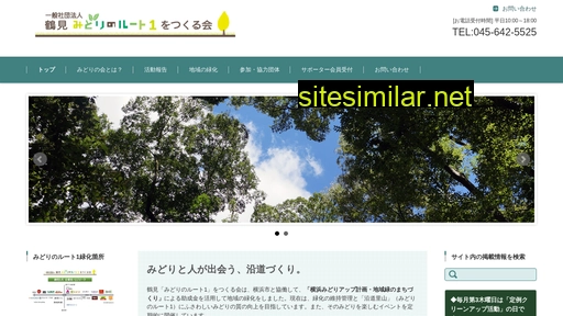 tsurumimidori-r1.jp alternative sites
