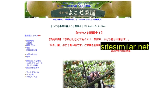 yokosenashien.jp alternative sites