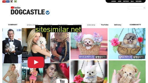 dogcastle.co.kr alternative sites