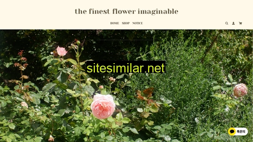jeju-flower.kr alternative sites