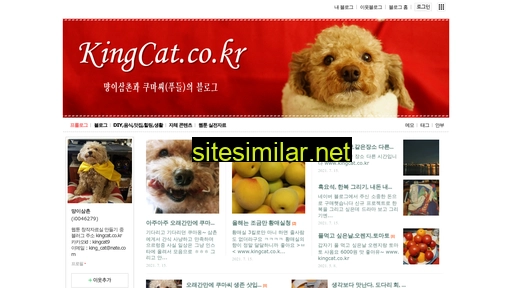 kingcat.co.kr alternative sites