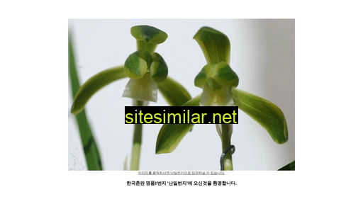 nan1.co.kr alternative sites