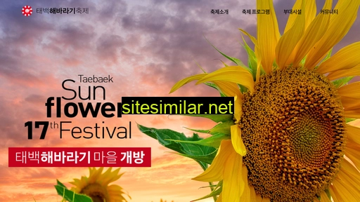 sunflowerfestival.co.kr alternative sites
