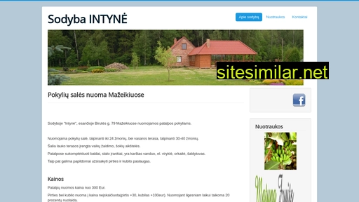 intyne.lt alternative sites