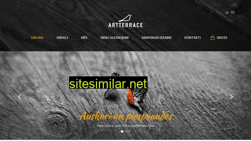 artterrace.lv alternative sites