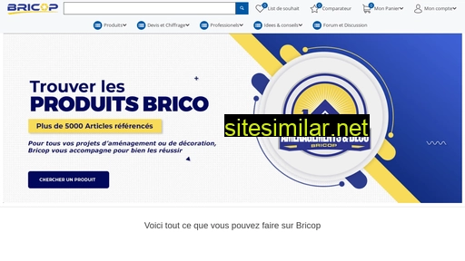 bricop.ma alternative sites