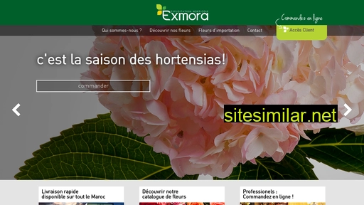 exmora.ma alternative sites