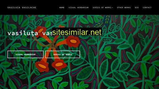 vasilache.md alternative sites