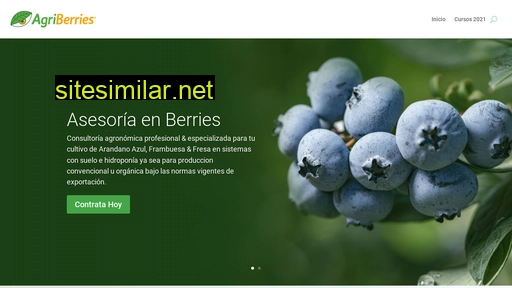 agriberries.mx alternative sites