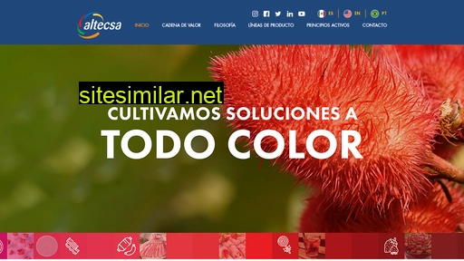 altecsa.com.mx alternative sites