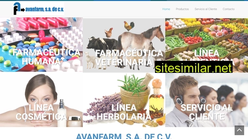 avanfarm.com.mx alternative sites