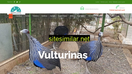 avesexoticas.com.mx alternative sites