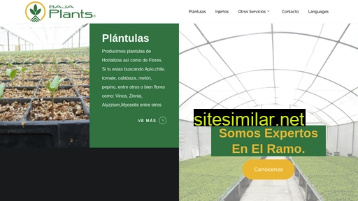 bajaplants.com.mx alternative sites