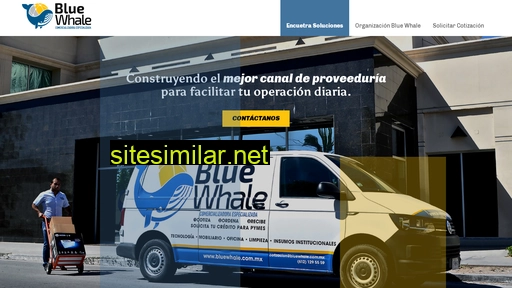 bluewhale.com.mx alternative sites