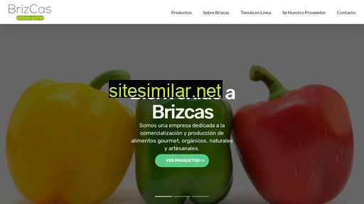 brizcas.com.mx alternative sites