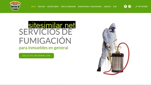 bugsteroaxaca.com.mx alternative sites