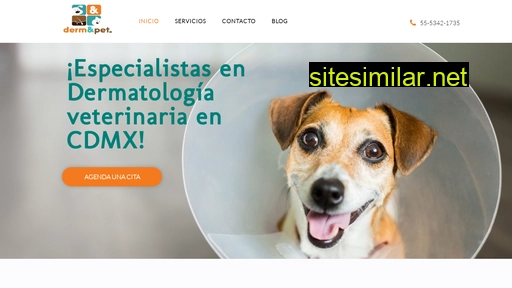 clinicaveterinariadermandpet.com.mx alternative sites